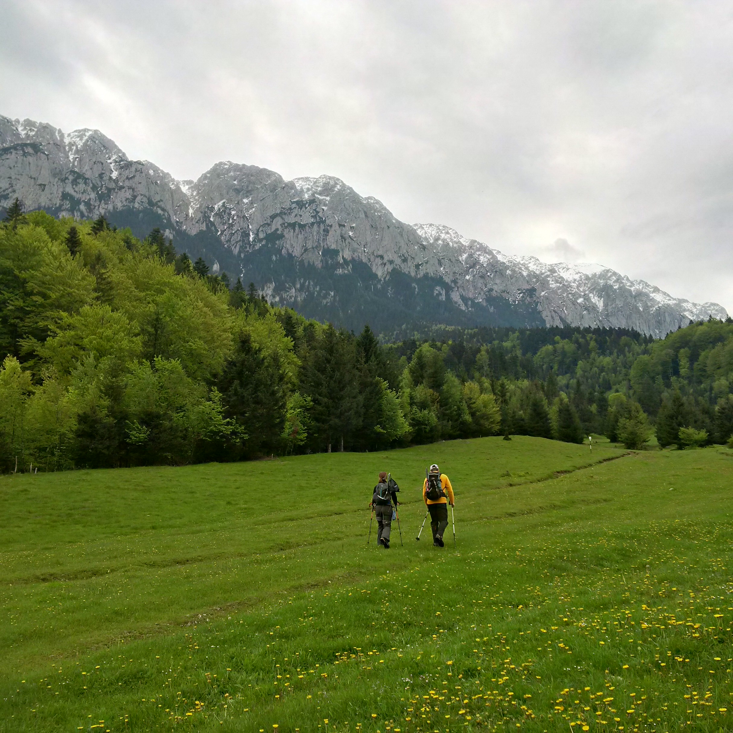 IMG_20160512_092309_hdr